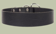2 inch wide All Weather Collar for walking dogs-Leather Collar