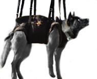 Akita inu Tactical Insertion Harness - Crucial harness Husky