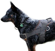 Australian Cattle Dog harness-Nylon dog harness for pulling/trac Australian Cattle Dog harness-Nylon dog harness for pulling/trac