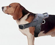 Beagle dog harness - Nylon dog harness for tracking/pulling Beagle dog harness - Nylon dog harness for tracking/pulling
