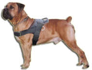 Boerboel Nylon multi-purpose dog harness pulling-Boerboel Mastif