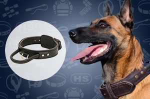 Dog Collar