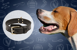 Leather dog collar