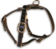 Leather Dog Harness H7 for walking and tracking Leather Dog Harness H7 for walking and tracking