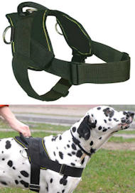 Best Dog Training Harness for DOG - Leather Dog Harness Best Dog Training Harness for DOG - Leather Dog Harness