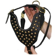 Studded leather walking dog harness