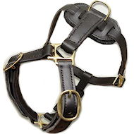 leather dog harness