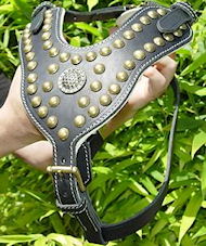 Royal Dog Harness Exclusive Design