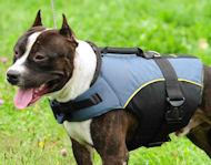 Dog Vest for Saffordshire Terrier - Amstaff Dog Coat /Jacket Dog Vest for Saffordshire Terrier - Amstaff Dog Coat /Jacket