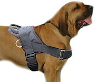 Fila Brasileiro Nylon dog harness with handle-Brazilian Mastiff