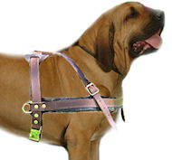 Fila Brasileiro walking Leather Dog Harness- harness for Molosse