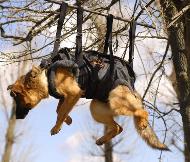 Akita inu Tactical Insertion Harness - Crucial harness Husky Akita inu Tactical Insertion Harness - Crucial harness Husky