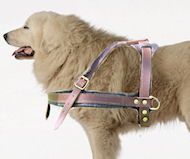 Great Pyrenees walking Leather Dog Harness-harness Great Pyr Great Pyrenees walking Leather Dog Harness-harness Great Pyr