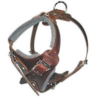 DOG adjustable dog harness - H1 DOG adjustable dog harness - H1