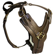 Padded Dog Harness H10 Padded Dog Harness H10