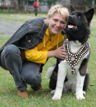 Exclusive Design Studded dog harness for Siberian Husky or Akita Inu!!