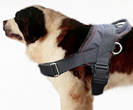 Saint Bernard dog harness-Nylon dog harness for tracking/pulling
