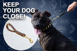 Leather Dog Leash