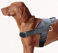 Vizsla dog harness - Nylon dog harness for tracking/pulling Vizsla dog harness - Nylon dog harness for tracking/pulling