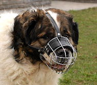 Wire Basket Dog Muzzles for walking dogs Wire Basket Dog Muzzles for walking dogs