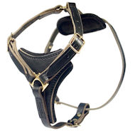 Medium Dog Harness-Control Leather Dog Harnesses for ALL BREEDS Medium Dog Harness-Control Leather Dog Harnesses for ALL BREEDS