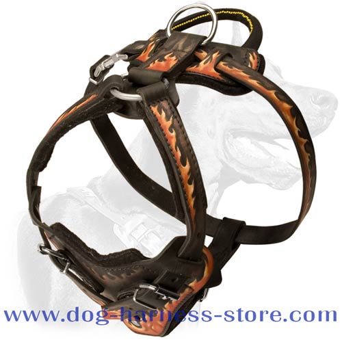 Leather Dog Harness for Training and Walking with Wide Chest Plate and Wide Straps