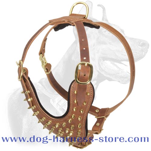 Quality Leather Dog Harness with Brass Spikes on the Chest Plate