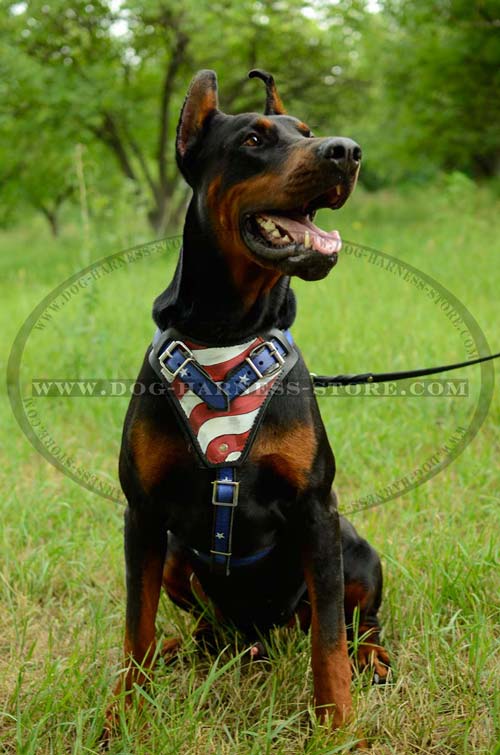 Heavy Duty Leather Dog Harness with Unique Waterproof Painting