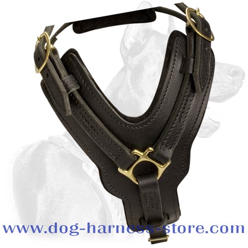 Durable Full Grain Leather Dog Harness for Training Different Breeds
