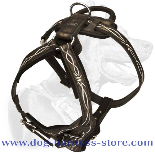 Dog Training Harness Manufactured for Demands of Heavy Duty Work