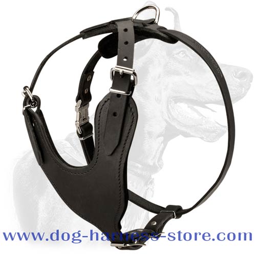 Strong Full Grain Leather Harness for Heavy Duty Training