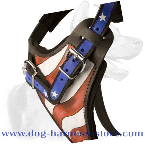 Training Dog Harness Made of Genuine Leather, Comfortable for Different Breeds