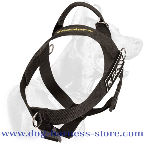 Nylon Dog Harness with D-Ring to stop pulling
