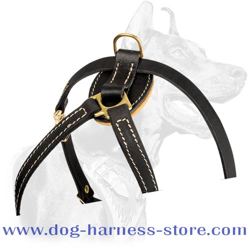 Quality Durable Tracking Harness for Small Breeds and Puppies