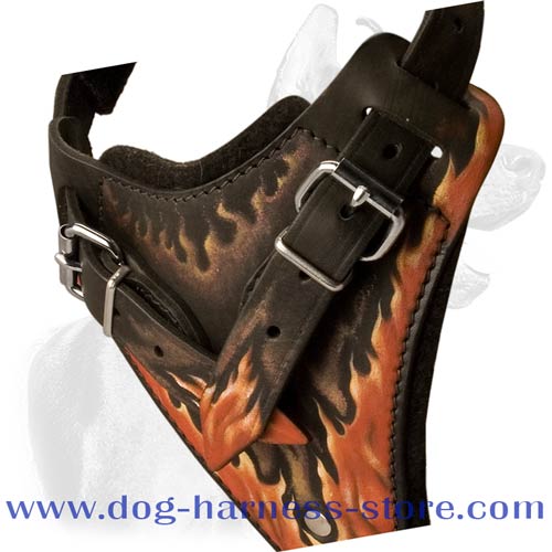 Training Dog Harness of Enhanced Durability and Comfort for Different Breeds