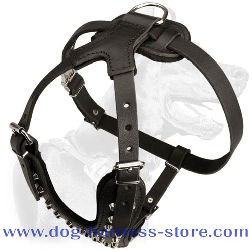 Fashionable Dog Walking Harness Made of Full Grain Leather with Silver Color Pyramids