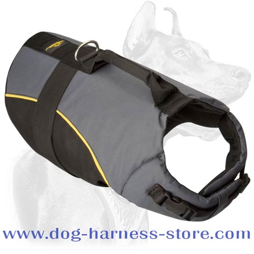 Nylon Vest Harness for Dogs of Different Breeds