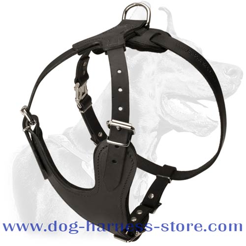 Leather Training Harness with Y-Shaped Chest Plate