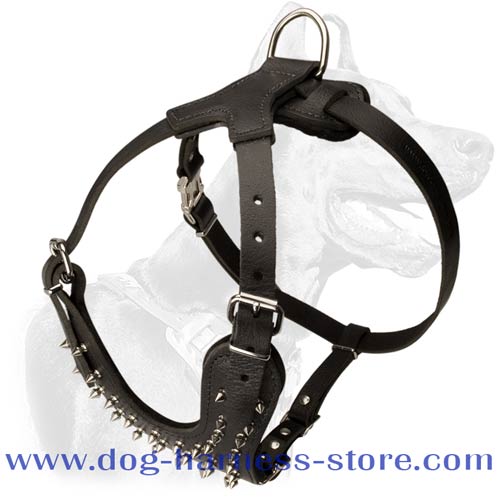 Durable Leather Dog Harness for Walking with Decoration of Spikes