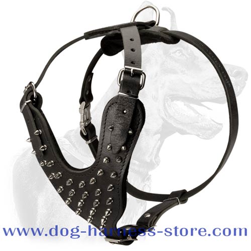 Strong Leather Harness with Y-Shaped Chest Plate that Averts Stress from Dog's Neck and Saves it from Injuries