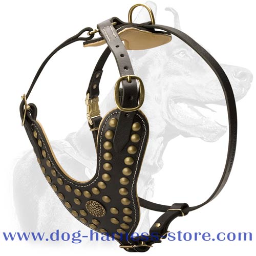 Stunning Design Leather Dog Harness with Brass Fittings for All Breeds