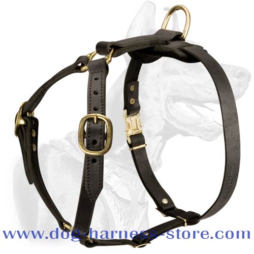 Durable Leather Dog Harness for All Breeds