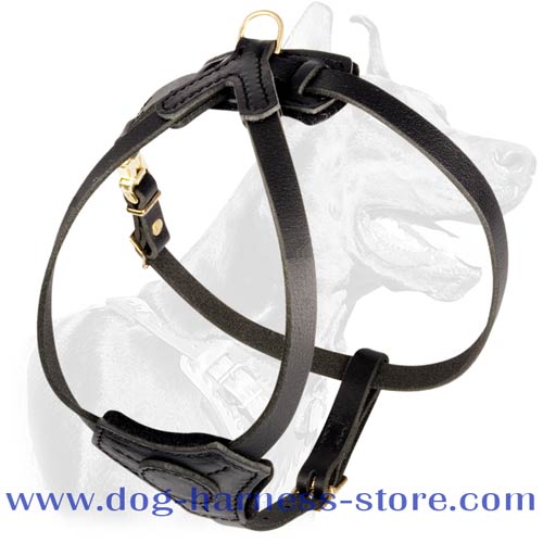 Comfortable Harness for Tracking and Walking Small Dogs
