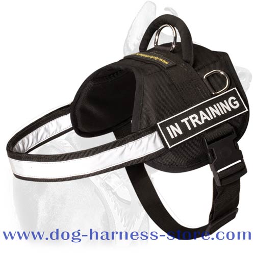 Durable All Weather Harness with Reflective Trim and ID Patches for Working Dogs