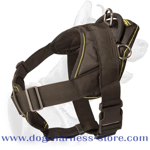 Nylon Harness with Chest Plate and Four Points of Adjustment
