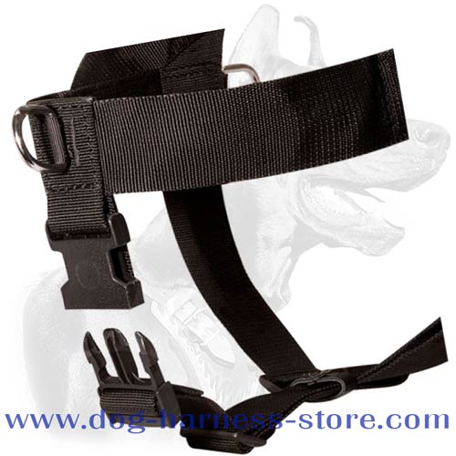 Quick release buckle fastening the removable strap on dog harness
