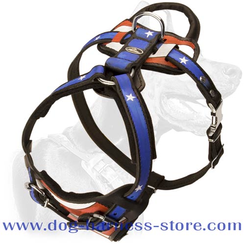 Leather Dog Harness for Training and Walking with Unrepeatable Hand Set Pattern