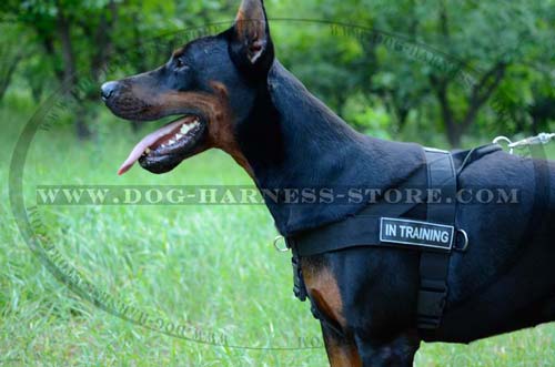 Doberman Working Nylon Harness with Side Rings for load attachment