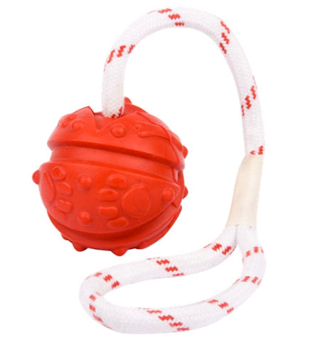 Similar to Everlasting Fun Ball on a Rope for all breeds