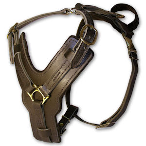 leather dog harness for Weimaraner breed